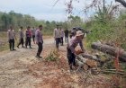 Tonton-Video,-Personel-Polres-Belu-dan-Polsek-Tastim-Sigap-Evakuasi-Pohon-Tumbang-Lancarkan-Arus-Lalu-Lintas-di-Ruas-Jalan-Raya-desa-Dafala