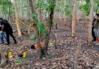Unit-Identifikasi-Polres-Belu-bersama-Polsek-Tasifeto-Timur-Olah-TKP-Penemuan-Mayat-di-Hutan-Raibasin
