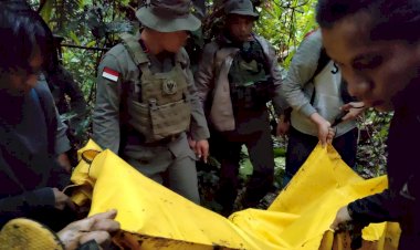 Melawan-saat-Ditangkap,-Satgas-Madago-Raya-Tindak-Tegas-1-DPO-Teroris-MIT