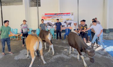 Polres-Belu-Salurkan-Daging-Kurban-untuk-Ratusan-Warga-di-Momen-Idul-Adha-1445-H