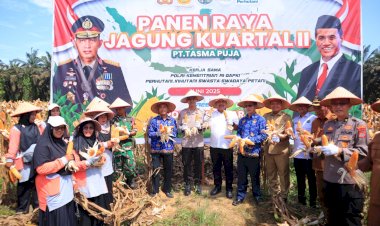 Kapolres-Kampar-Panen-Raya-Jagung:- Wujud-Dukungan-Nyata-untuk-Ketahanan-Pangan-Nasional- 