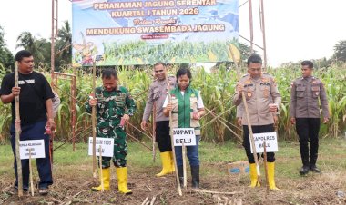 Dukung-Program-Presiden-Wujudkan-Swasembada-Pangan,-Kapolres-Belu-Bersama-Forkopimda-dan-Kelompok-Tani-Tanam-Jagung-Kuartal-I-Tahun-2026