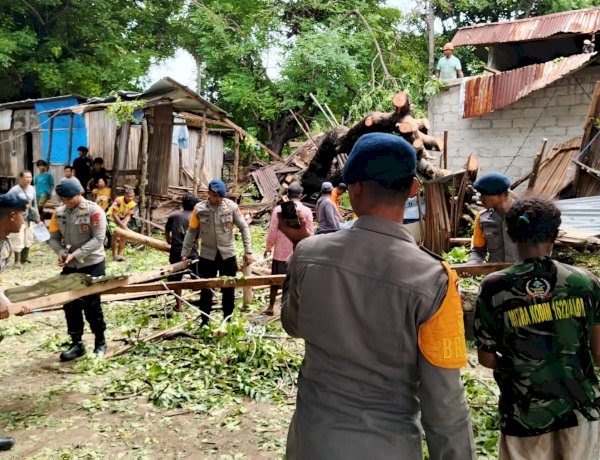 Tanggap Bencana Alam, Polres Belu bersama BPBD dan Brimob Gerak Cepat Evakusi Pohon Tumbang yang Menimpa Rumah Warga Fatuluka