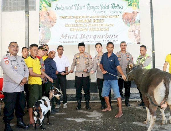 Rayakan Idul Adha 1447 H, Kapolres Belu bersama Anggota Sembelih 4 Ekor Sapi dan 1 Ekor Kambing Kurban