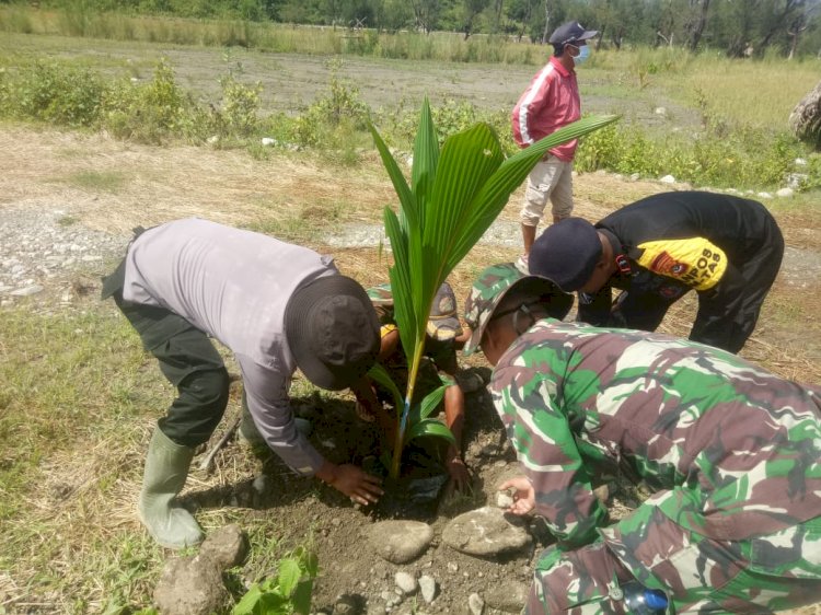 Lestarikan Lingkungan, Polres Belu Bareng TNI di Tapal Batas RI-RDTL Tanam Ratusan Kelapa Hibrida di Daerah Aliran Sungai