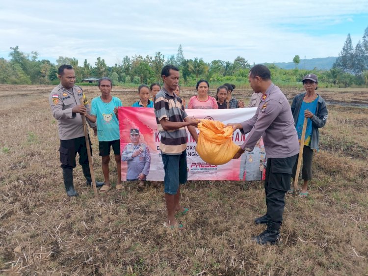 Salurkan Bibit Jagung dan Kacang Hijau untuk Petani, Upaya Polsek Raihat Dukung Ketahanan Pangan di Momen Bhayangkara ke 78