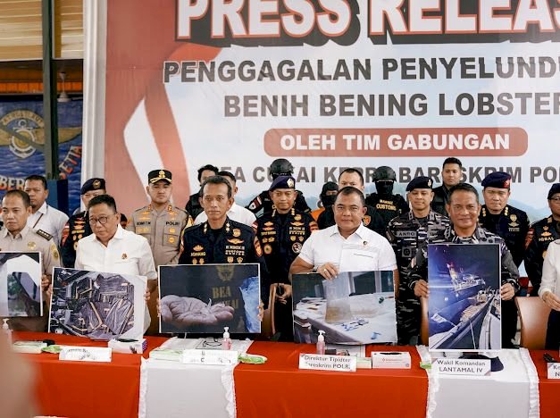 Bareskrim Polri : Gagalkan Penyelundupan 151 Ribu Benih Lobster di Perairan Bintan