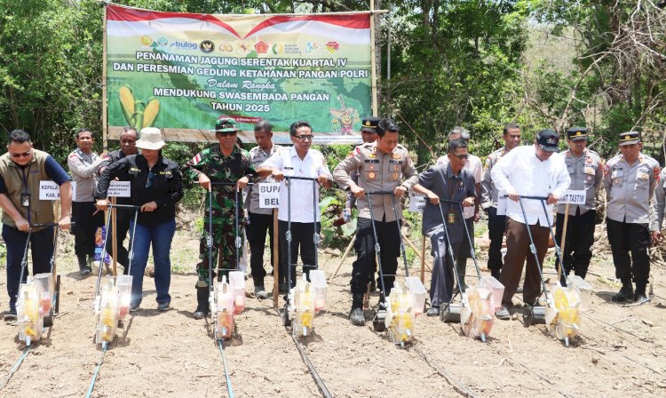 Dari Tapal Batas Wujudkan Swasembada Pangan, Kapolres Belu Bersama Forkopimda dan Kelompok Tani Tanam Jagung Kuartal IV Tahun 2025