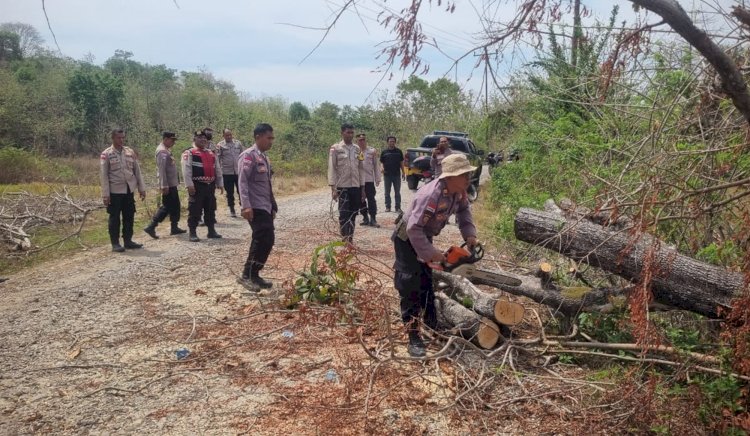 Tonton Video, Personel Polres Belu dan Polsek Tastim Sigap Evakuasi Pohon Tumbang Lancarkan Arus Lalu Lintas di Ruas Jalan Raya desa Dafala