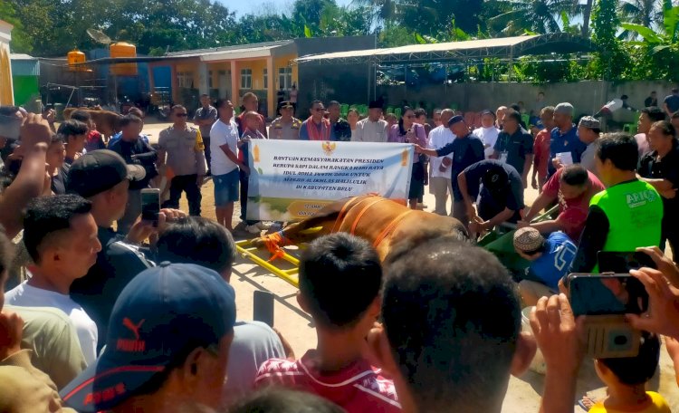 Turun ke Masjid Al-Ikhlas, Polsek Tasifeto Barat  Amankan Sholat Idul Adha 1447 H dan Kawal Penyerahan Sapi Kurban dari Presiden RI