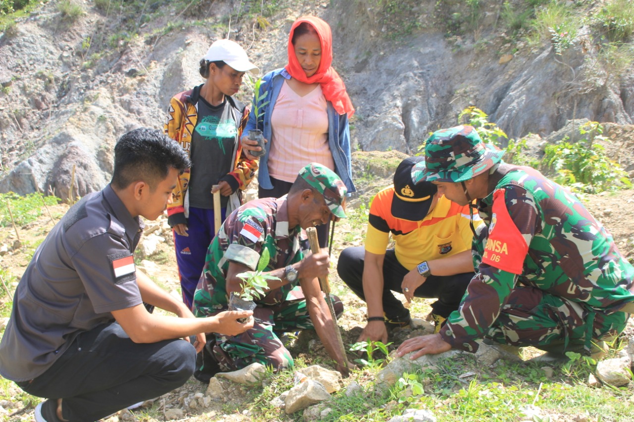 Polres Belu Bersama TNI dan Instansi Terkait, Kembali Tanam Ratusan Pohon di Wilayah Nanaet Duabesi
