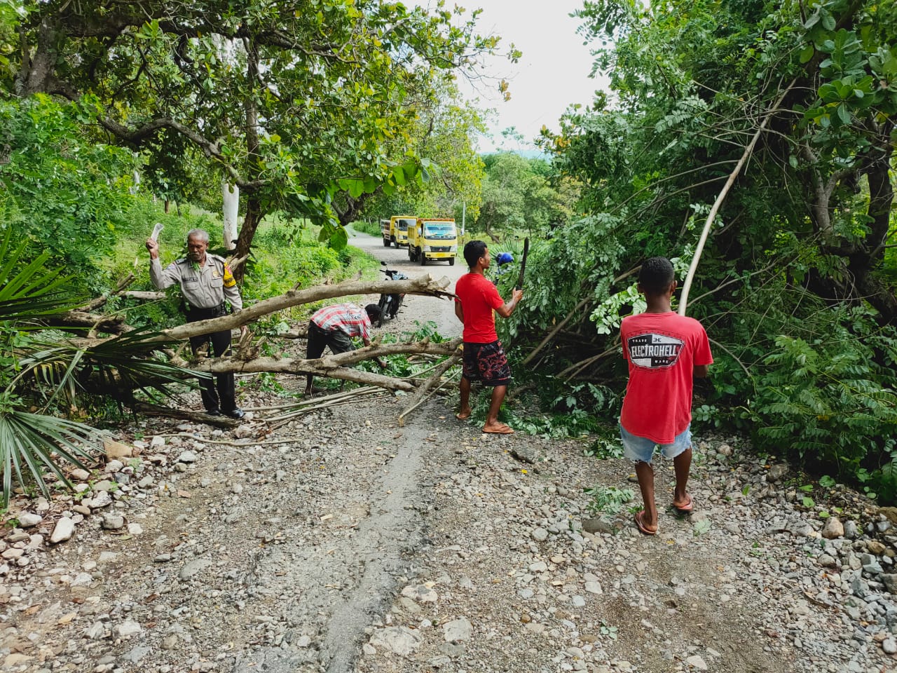 Bersama Warga, Bhabinkamtibmas desa Bauho Evakuasi Pohon Tumbang yang Melintang di Jalan Raya