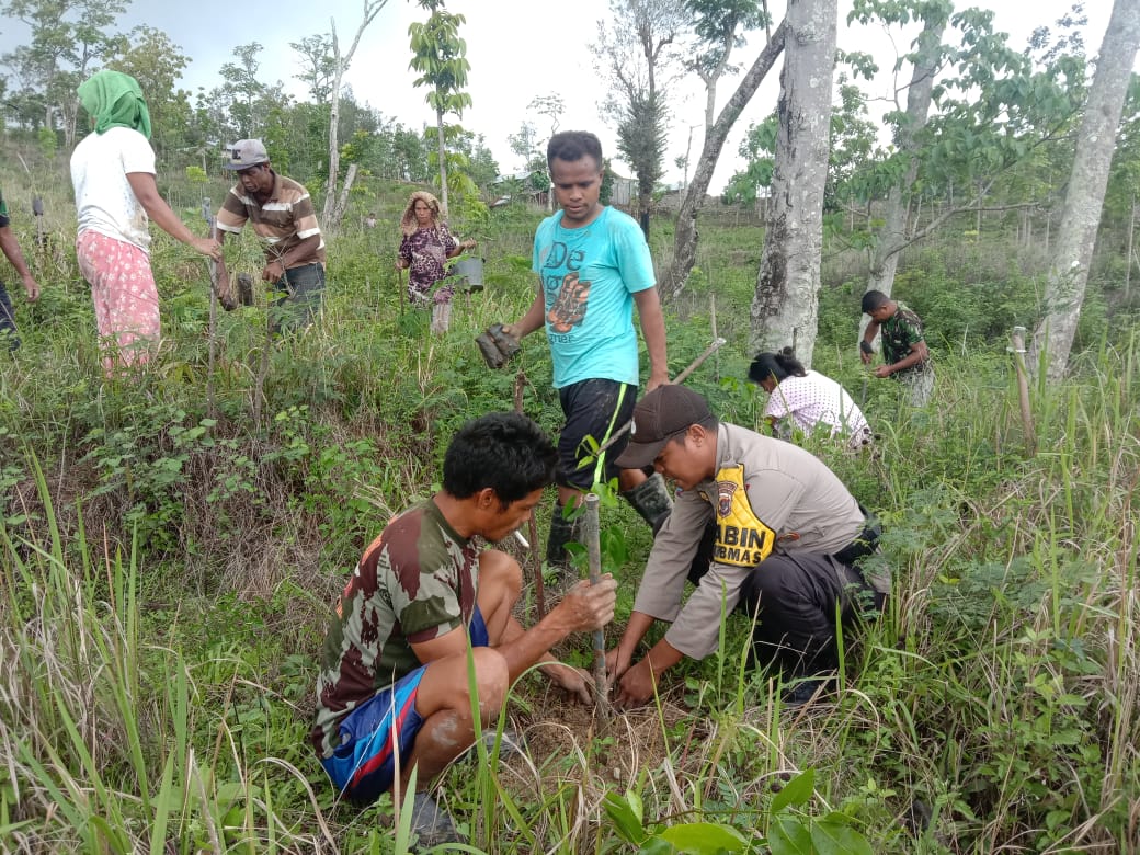 Peduli Penghijauan, Bhabinkamtibmas Polsek Lamaknen Bersama Pemerintah Desa dan Warga Gelar Aksi Tanam Pohon